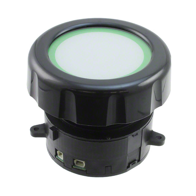 product Photo T101-5C4-111-M1