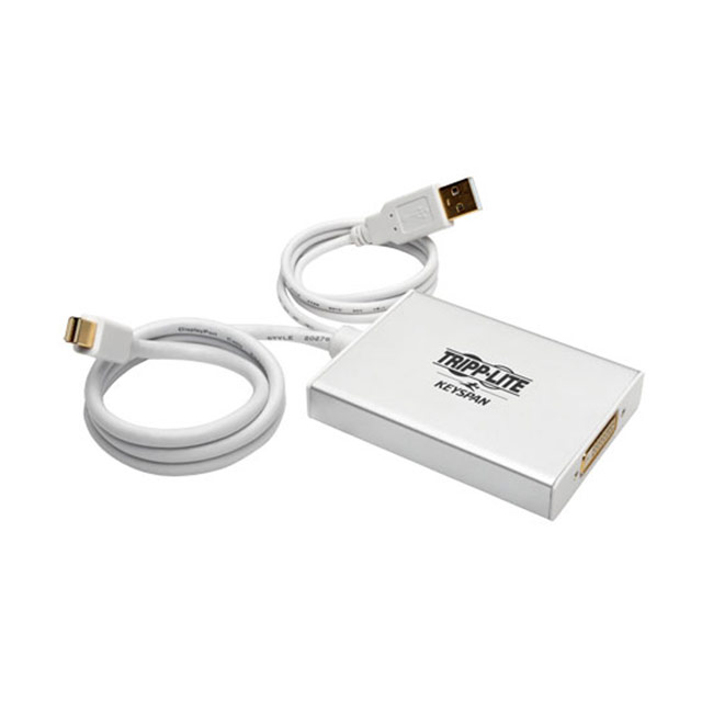 product Photo P137-06N-DVI-DL