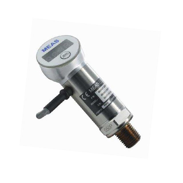 product Photo M5842-000005-500PG