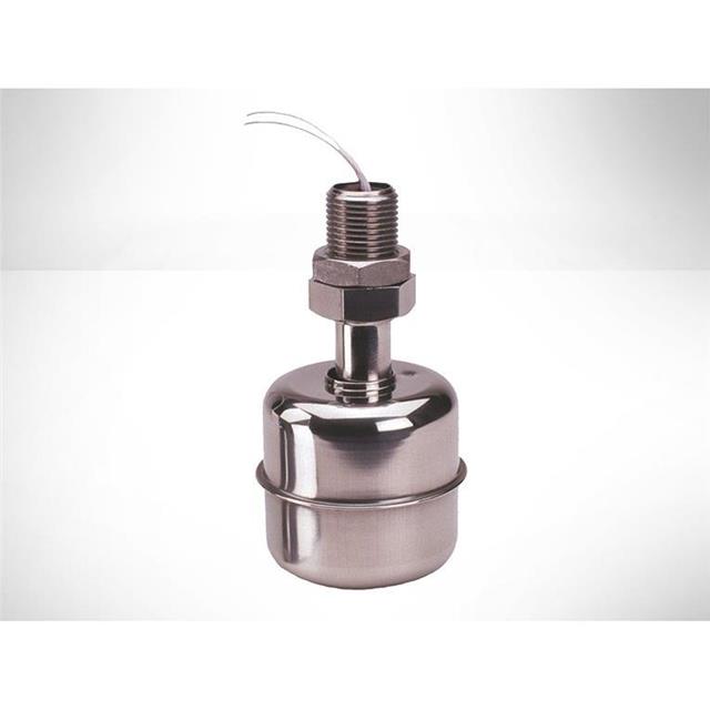 product Photo SSF22X100-M12X1