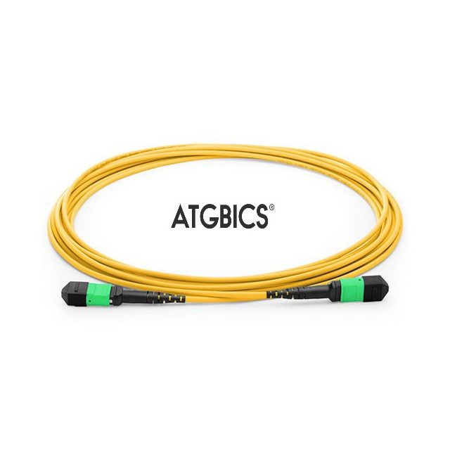 product Photo TCAB-24MPOFF-OS2-1M