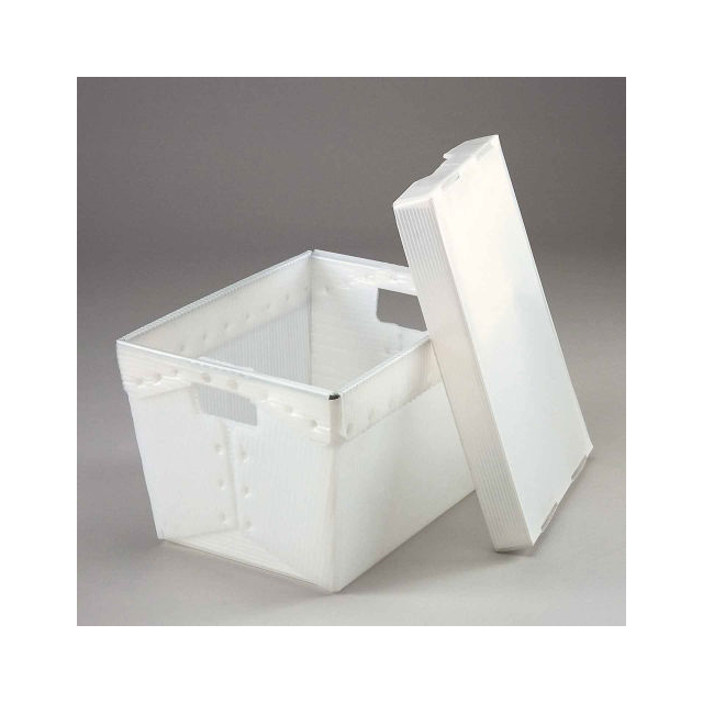 product Photo 257816