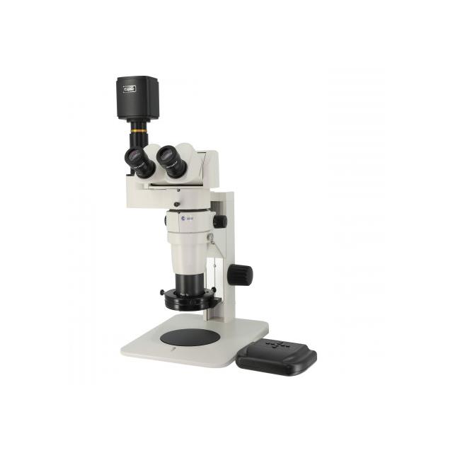 product Photo 24825-HDTRT