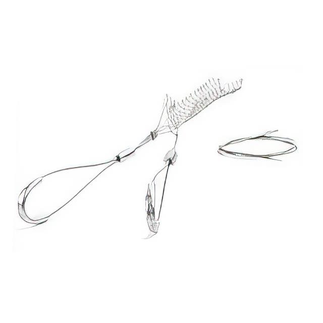 product Photo 1300940291