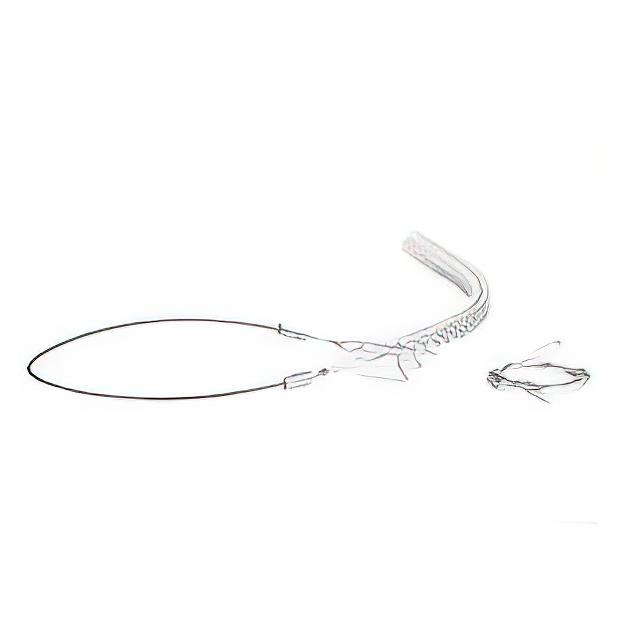 product Photo 1300940312