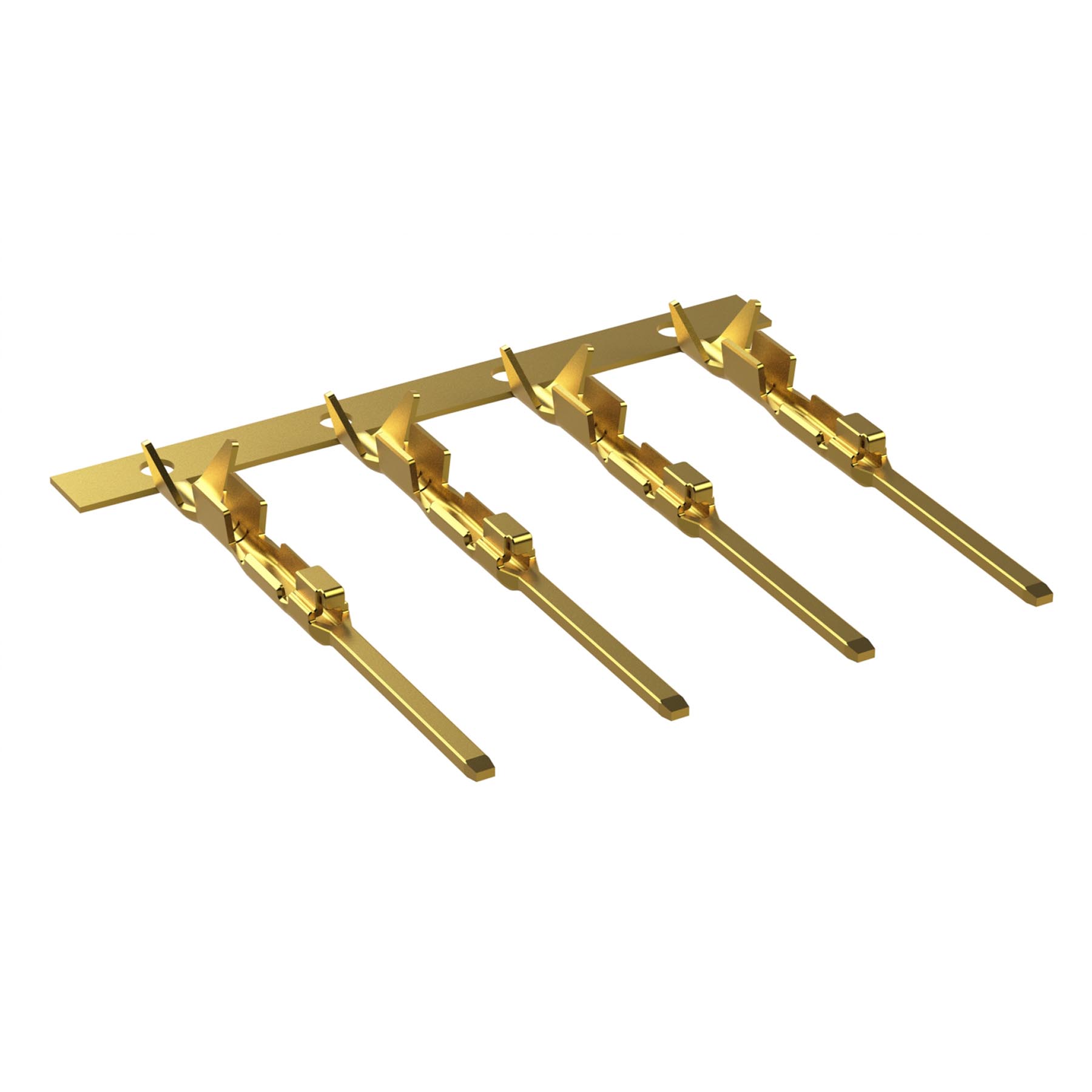 product Photo SC000571F