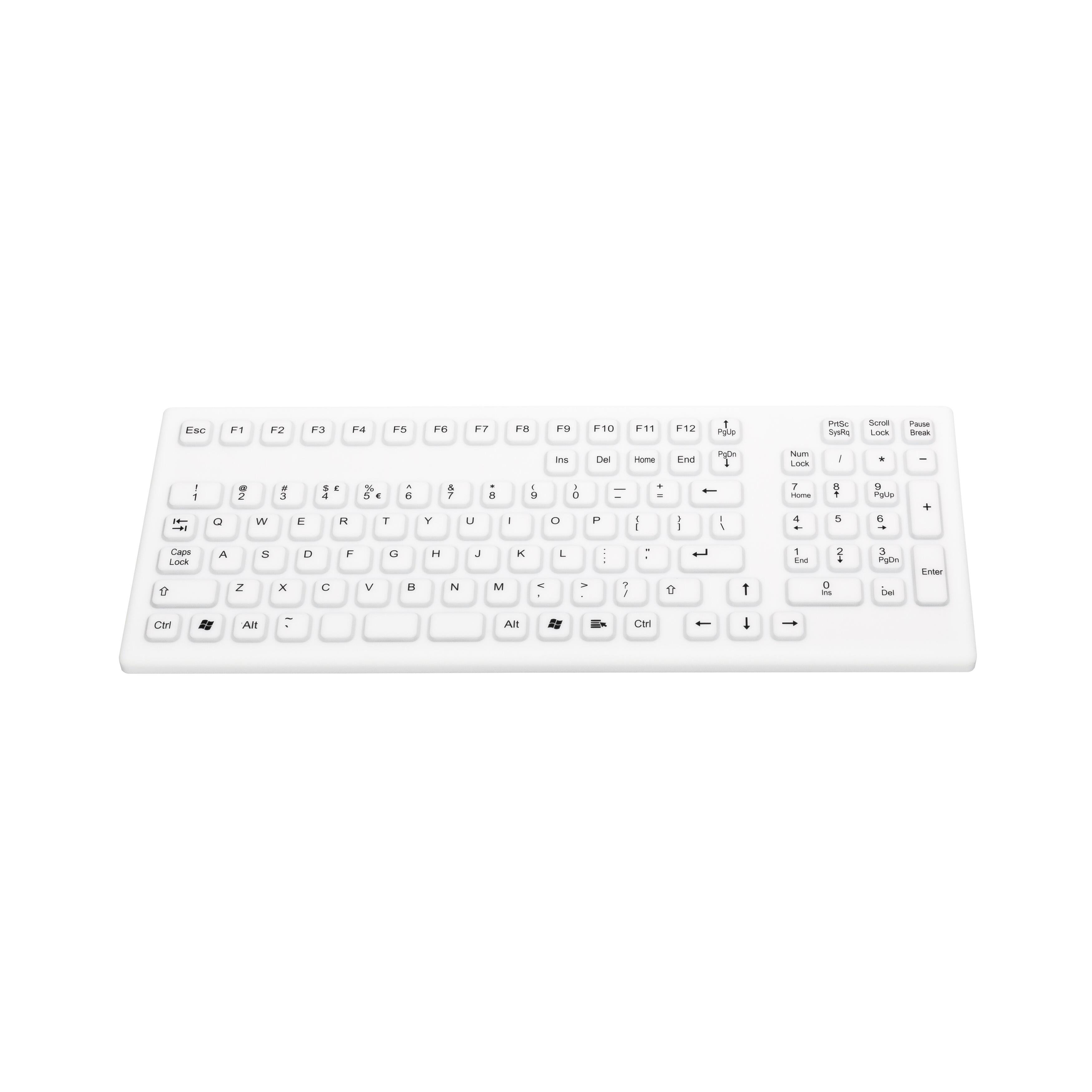 product Photo KG19269