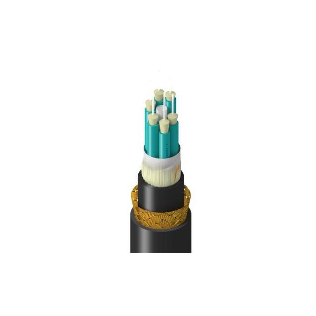 product Photo TM-3BB-006-LBAN