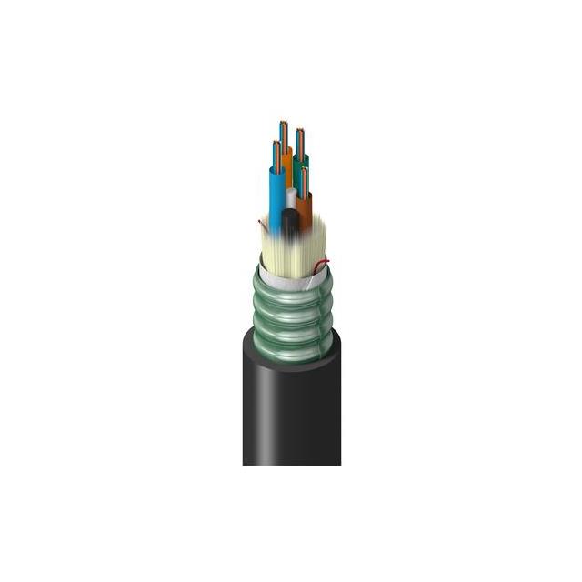product Photo TF-1LG-048-R25N