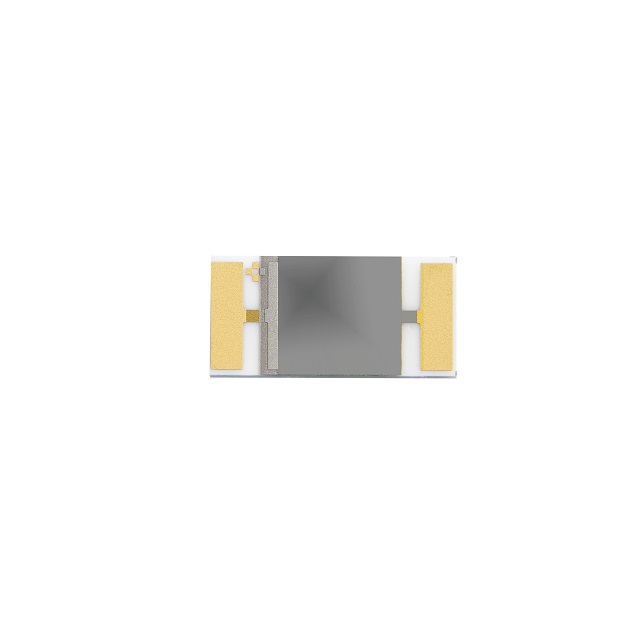 product Photo P14 FEMTOCAP-G_5