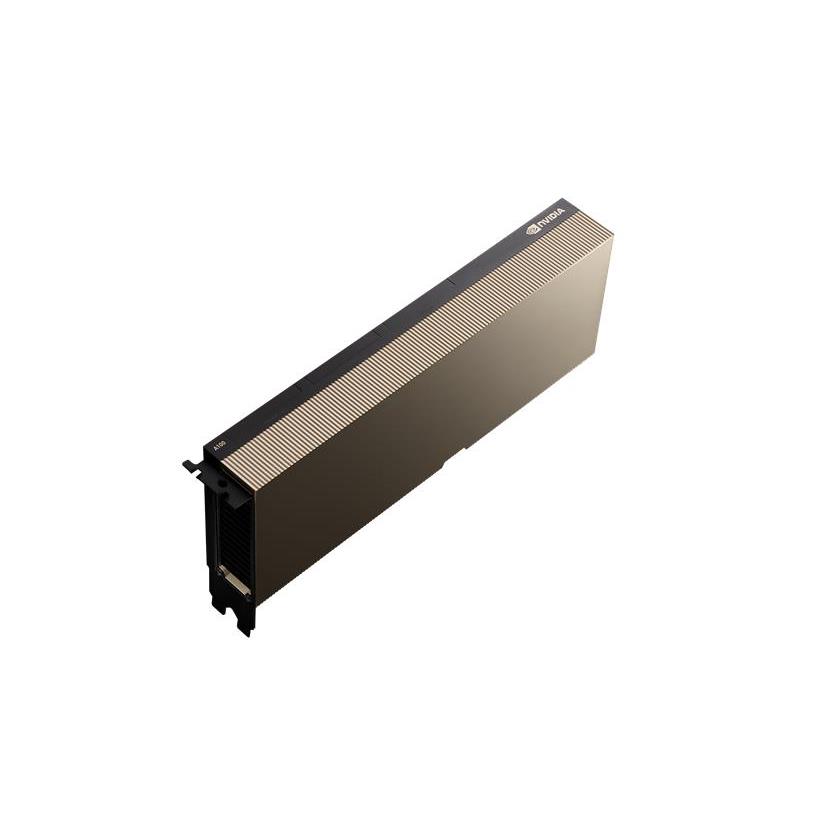 product Photo SKY-TESL-A100-80P