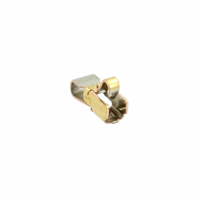 product Photo 1554901-1