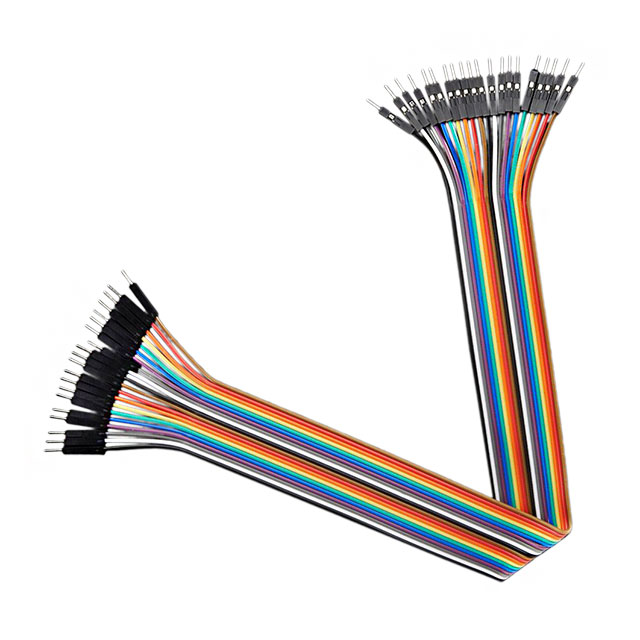 product Photo 1955
