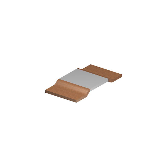 product Photo WSLF25121L300FEA