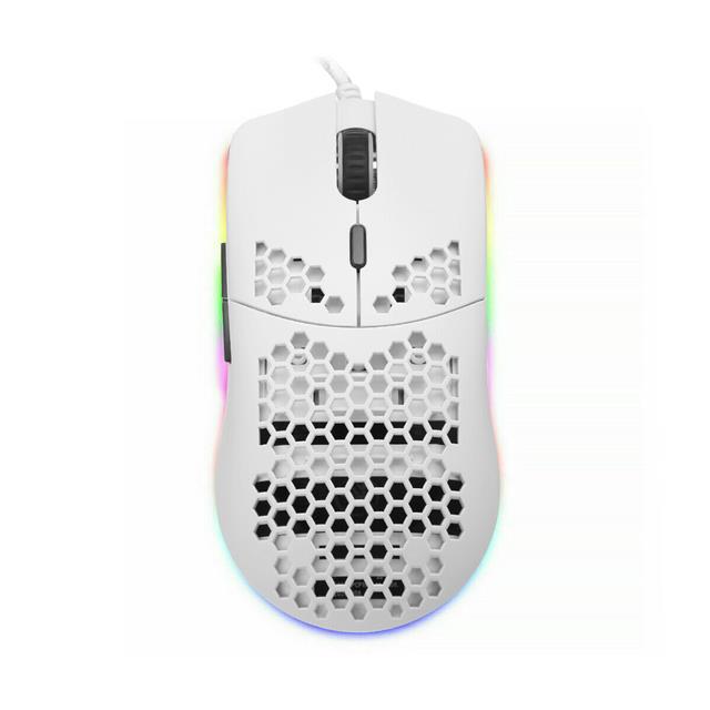 product Photo WP-254821619943-MS-WE