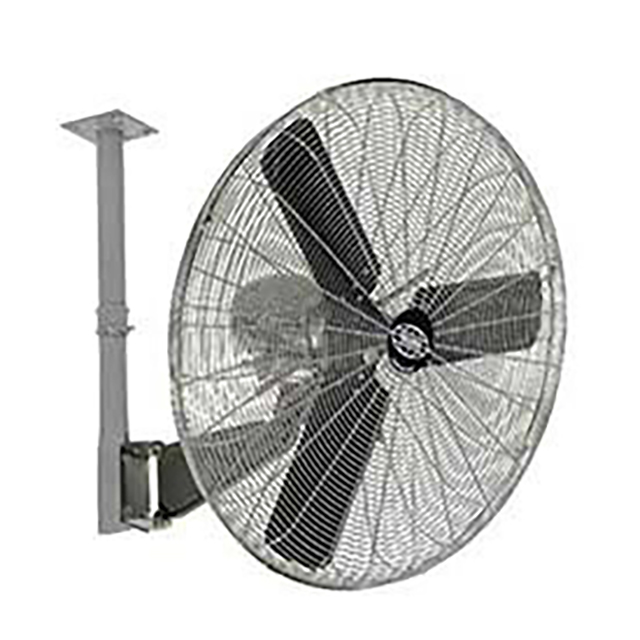 product Photo 795754