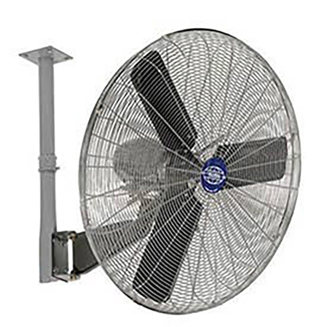 product Photo 795974