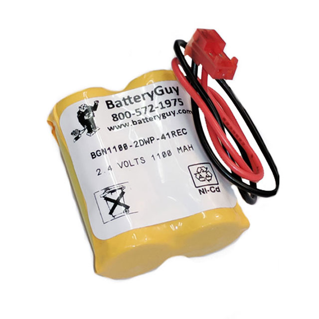 product Photo BGN1100-2DWP-41REC