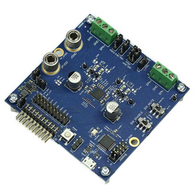 product Photo EVALAUDIOMA2304DNSTOBO1