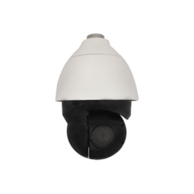 product Photo A956