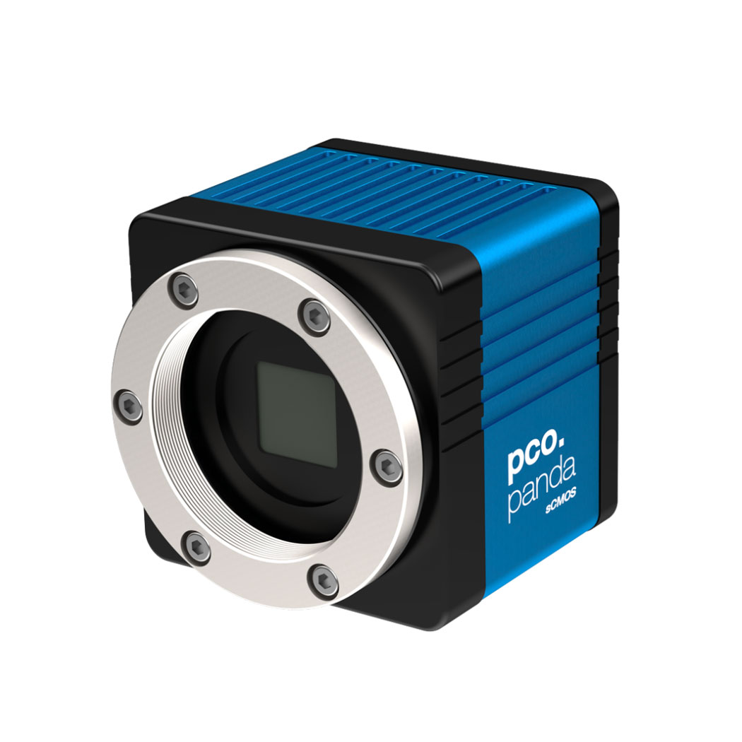 product Photo 85108074005