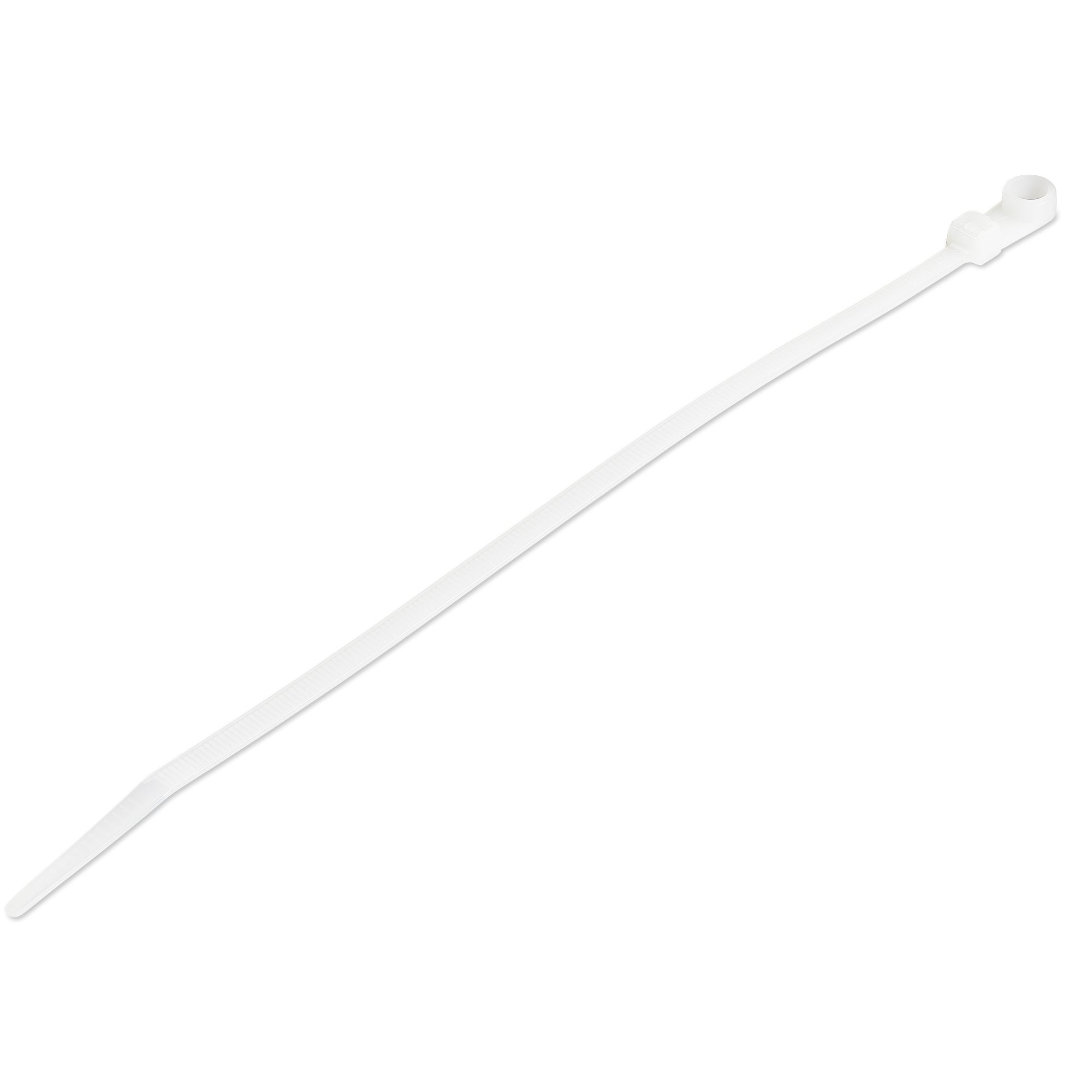 product Photo CBMZTS10N8