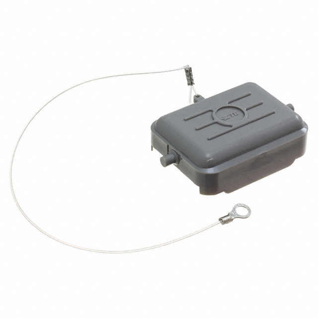 product Photo T1010062100-000