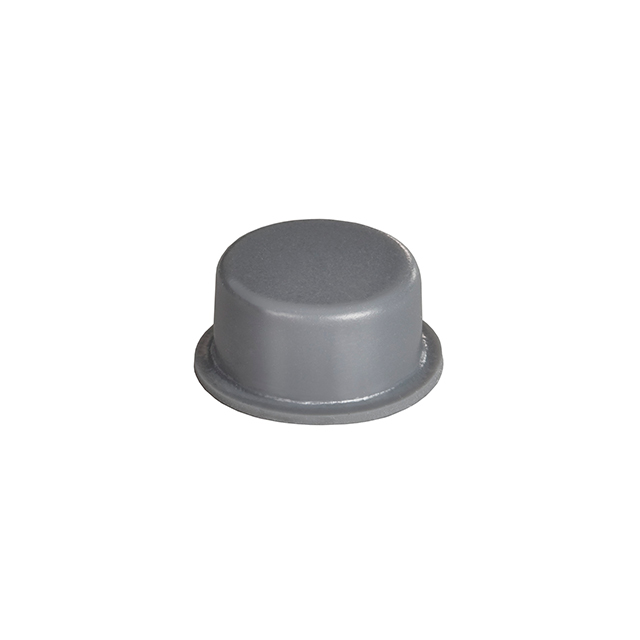 product Photo BS06GR10X20RP