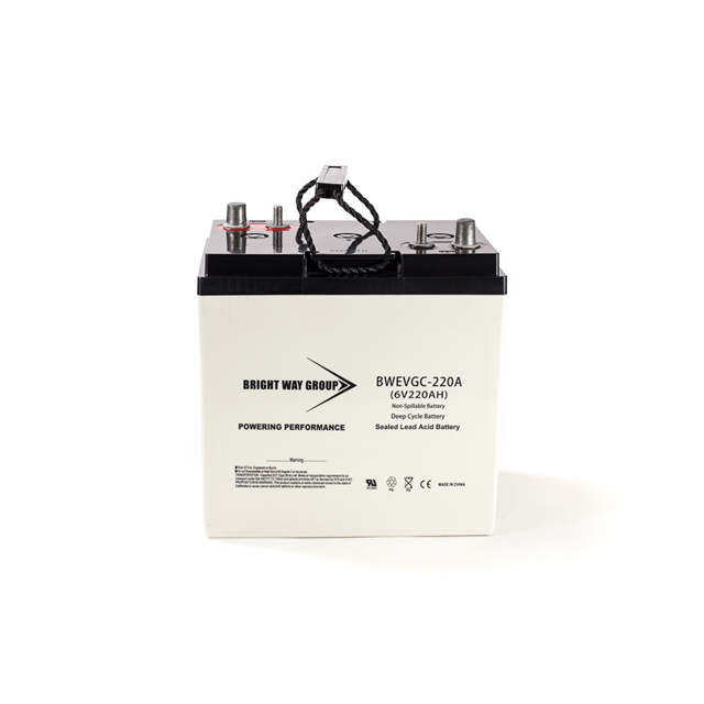 product Photo BW EVGC6-220A